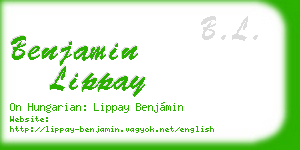 benjamin lippay business card