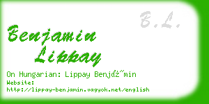 benjamin lippay business card